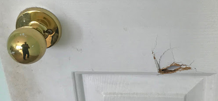 interior door hole repair Commerce